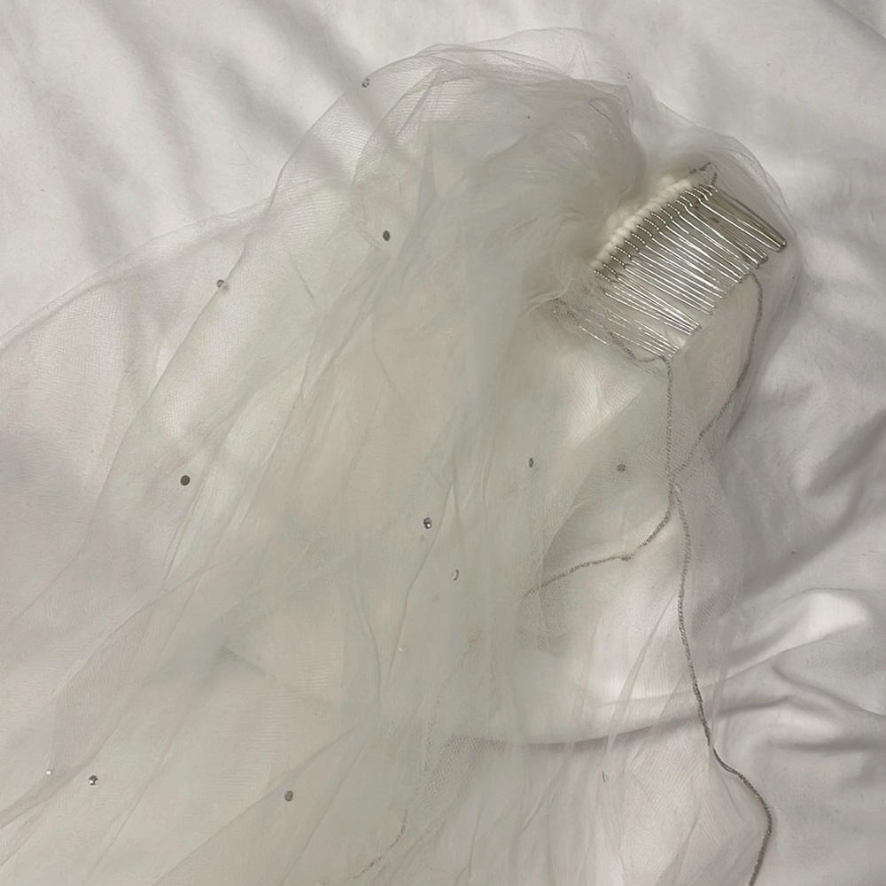 WhiteWedding Veil.Longer than most Trains.Diamond like accents all the way down